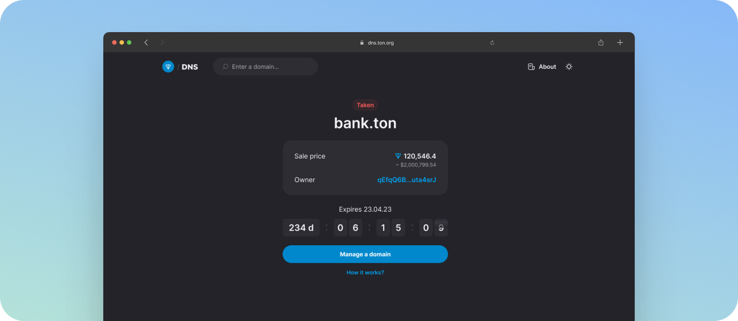 TON Fingerprints DNS interface