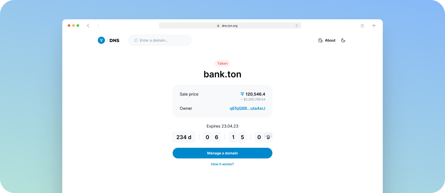 TON Fingerprints DNS interface